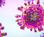 Oropouche virus goes global: Study exposes new risks from viral reassortment