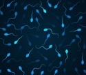 Low semen quality linked to shorter lifespan
