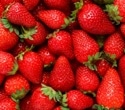 Strawberries enhance brain speed and heart health, but cognitive benefits remain unclear