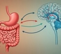 New study explores link between gut microbiome and autism spectrum disorder