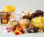High fructose diets impair brain function and appetite control, study shows
