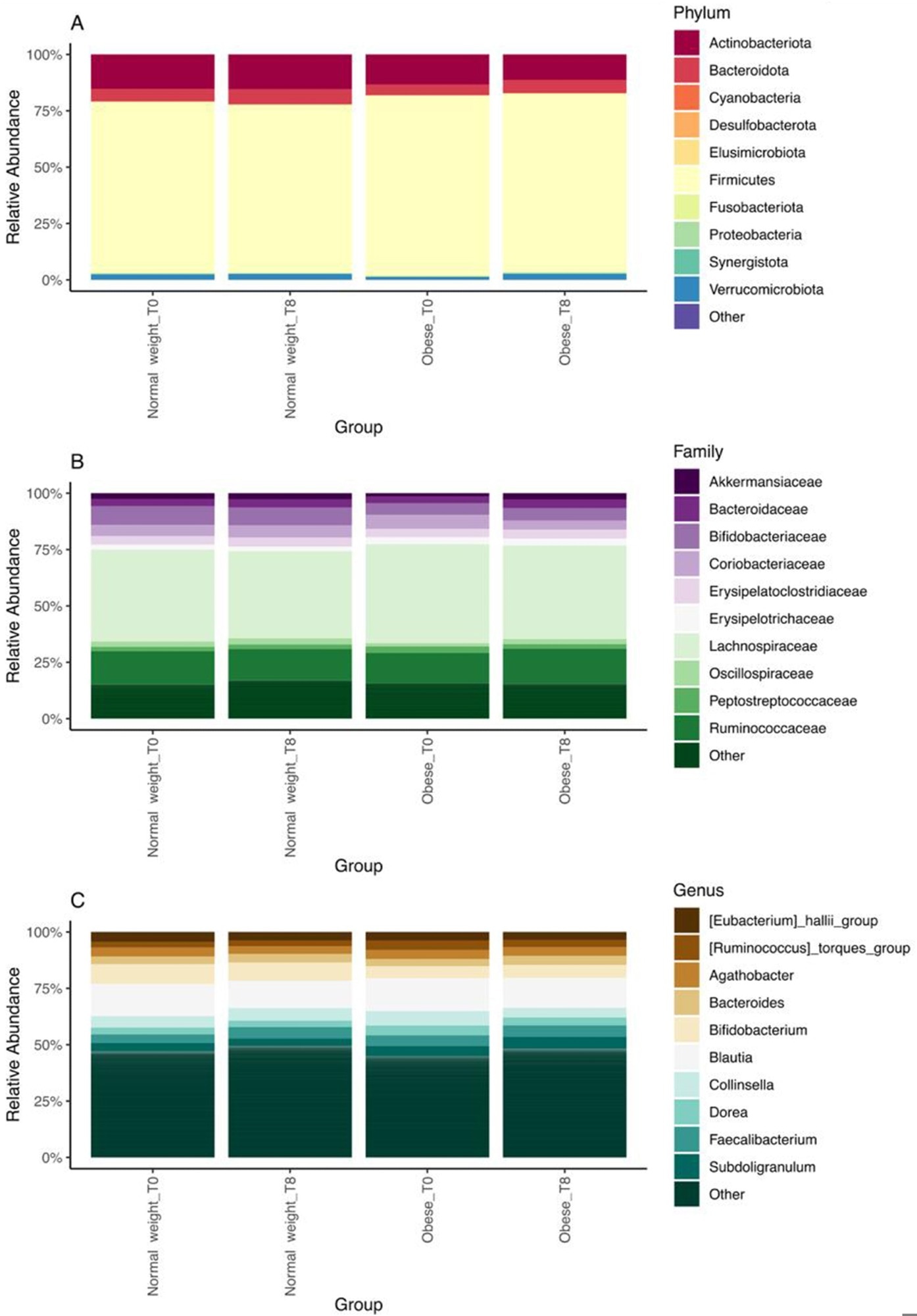 Relative abundance of major phyla (top 10) (A), families (top 10) (B), and genera (top 10) (C) in normal weight and obese groups at baseline (T0) and after 8 wk of regular consumption of black tea kombucha (T8).