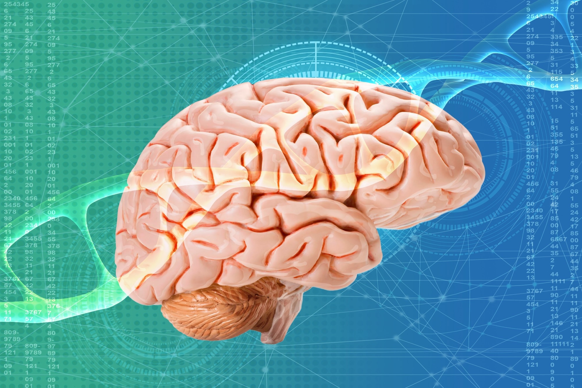 Study: Sustained breastfeeding associations with brain structure and cognition from late childhood to early adolescence. Image Credit: Kittyfly / Shutterstock