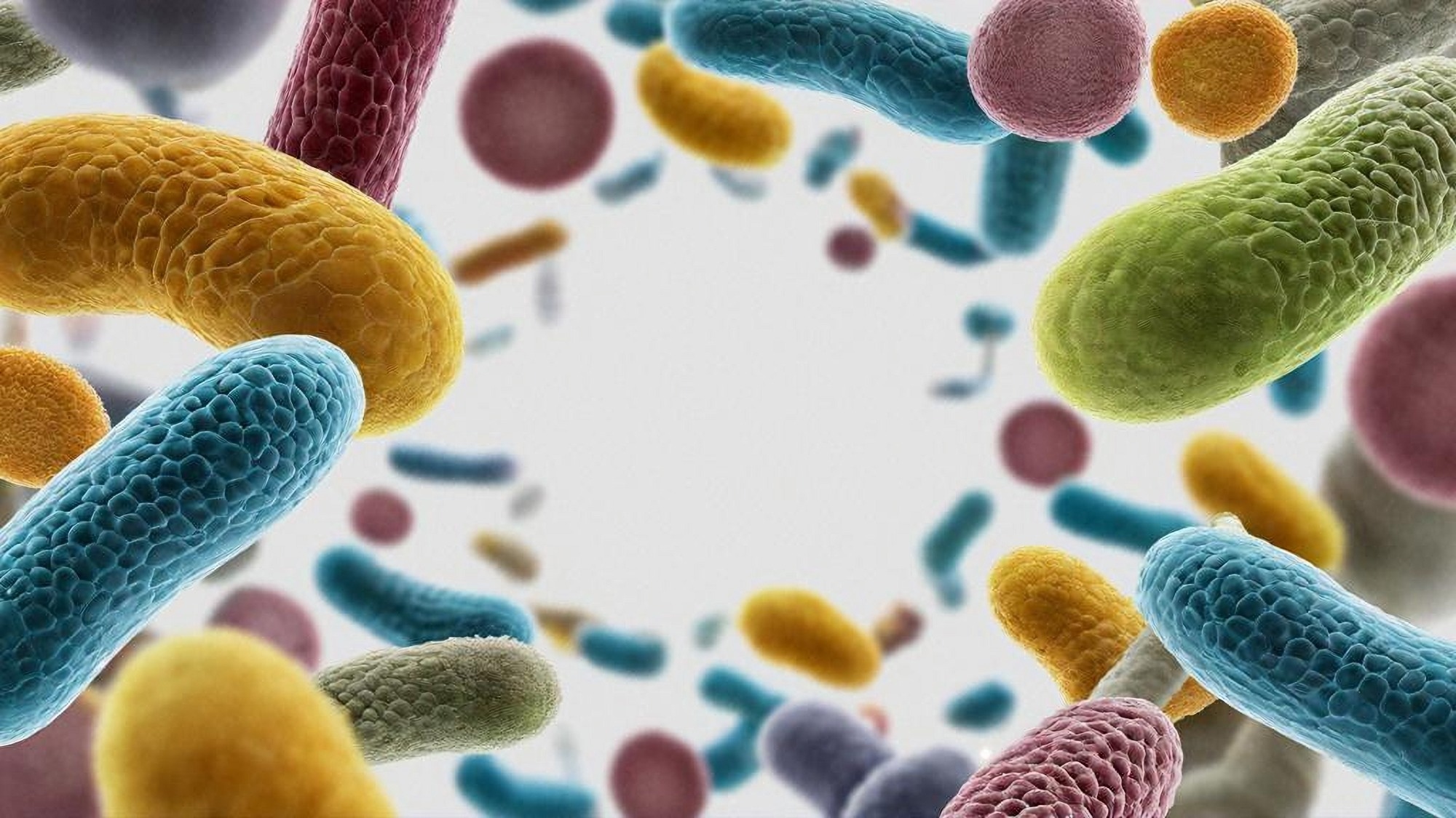 Research: NIBN Japan Microbiome Database, a database for exploring the correlations between human microbiome and health. Image Credit: Shutterstock