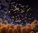 Popular painkiller use linked to gut microbiome shifts