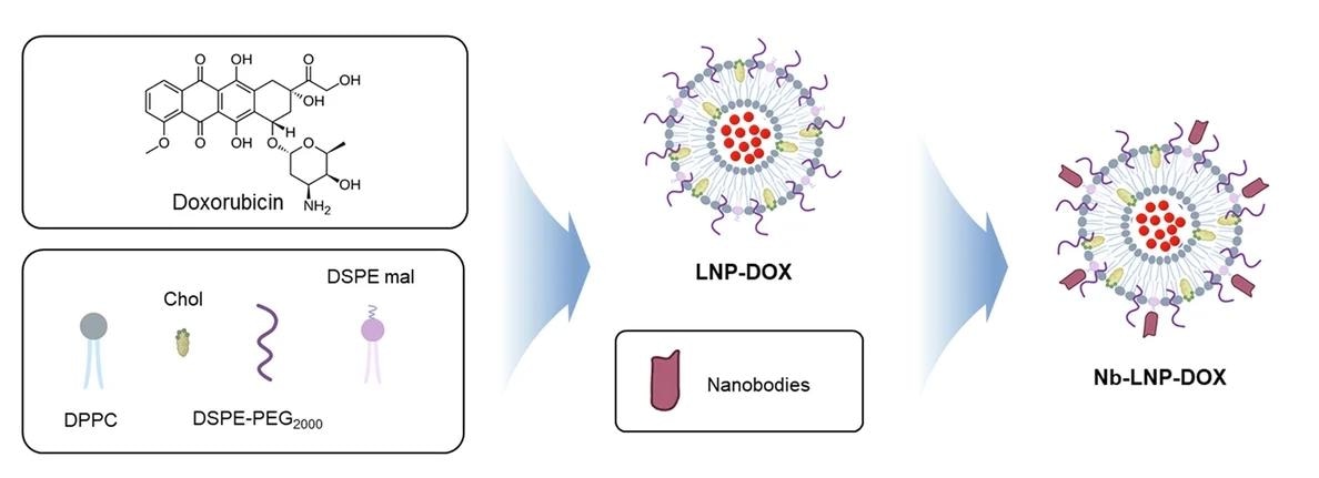 Flowchart of the synthesis of A5-LNP-DOX.