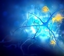 APOE ε4 variant reveals hidden risk factors beyond Alzheimer’s