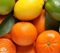 Researchers investigate how citrus bioflavonoid naringin could reduce inflammation and heart risk