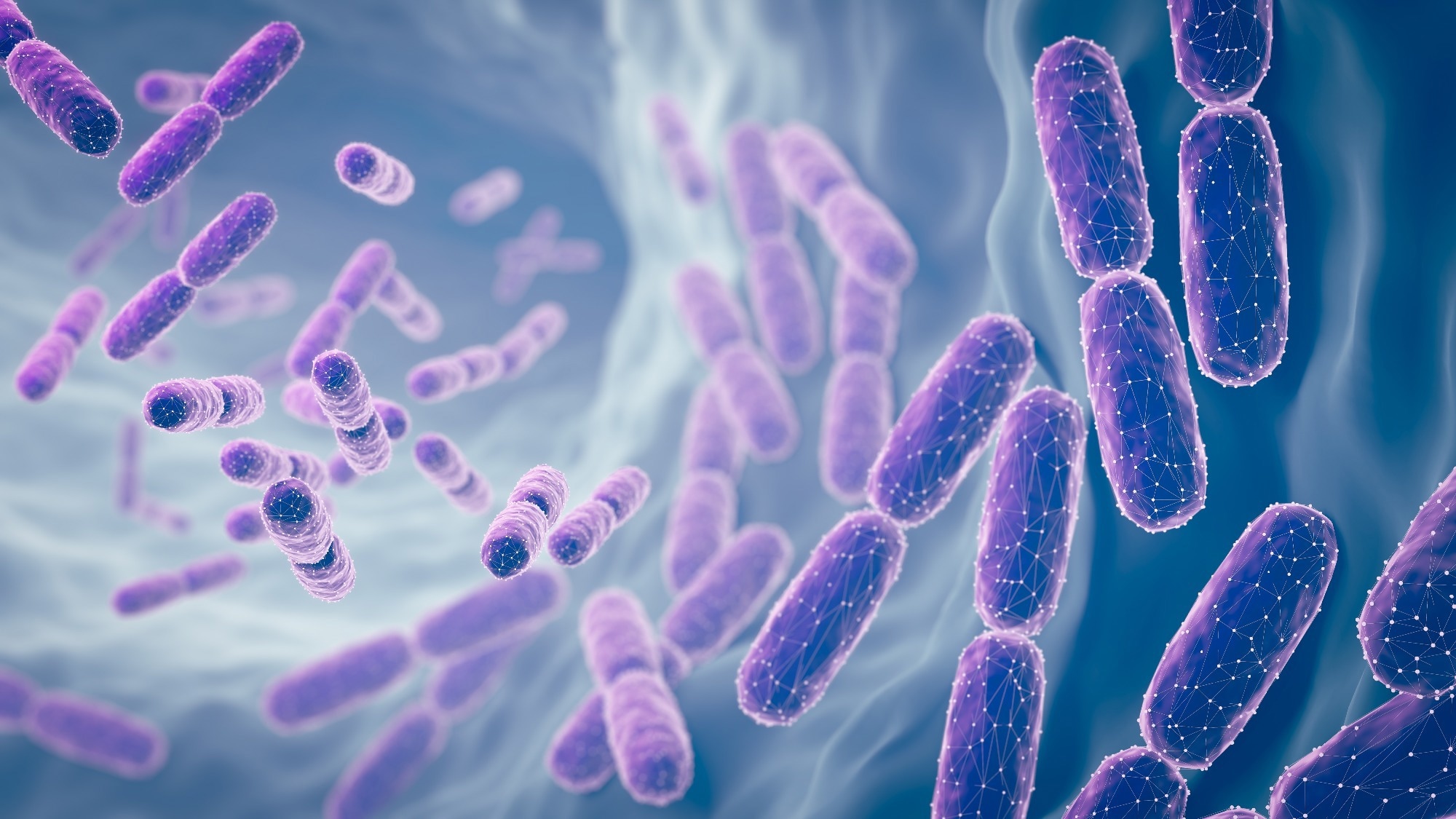 Study: Precision Probiotics Regulate Blood Glucose, Cholesterol, Body Fat Percentage, and Weight Under Eight-Week High-Fat Diet. Image Credit: Anusorn Nakdee  / Shutterstock