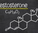 Testosterone fails to influence risk-taking or fairness in men