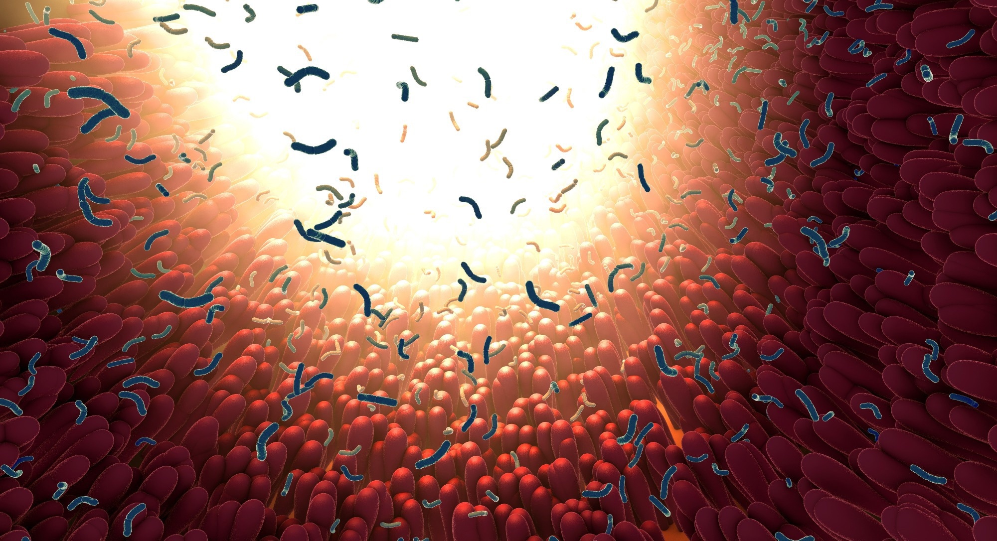 Study: Cross and inter-family interactions for age, sex, smoking and BMI. Image Credit: Christoph Burgstedt / Shutterstock