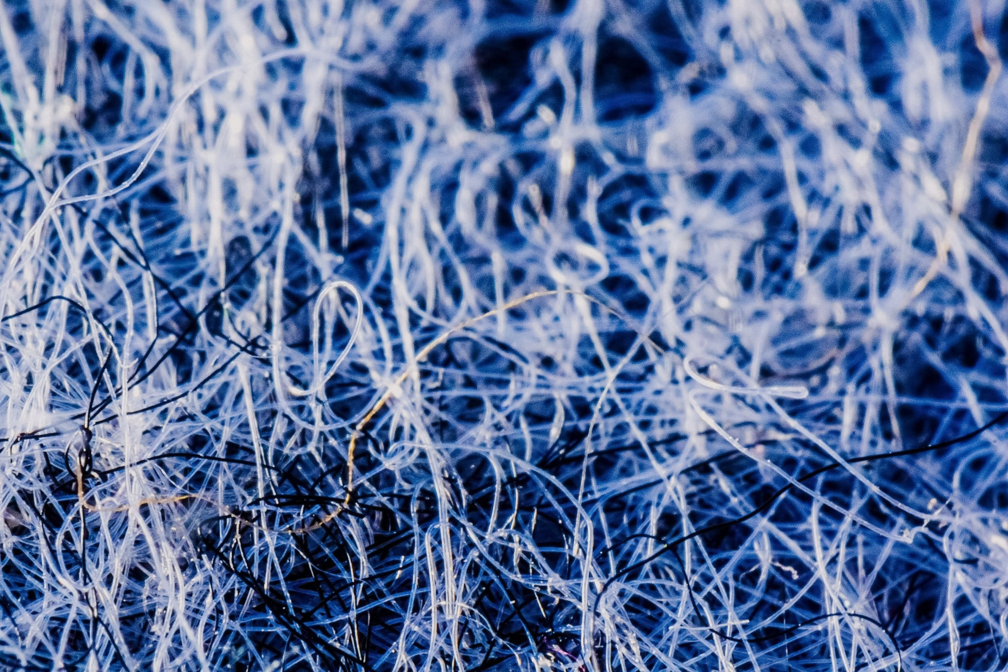 Study: Reducing microplastic fiber shedding from hand-washed polyester. Image Credit: Katarzyna Ledwon / Shutterstock
