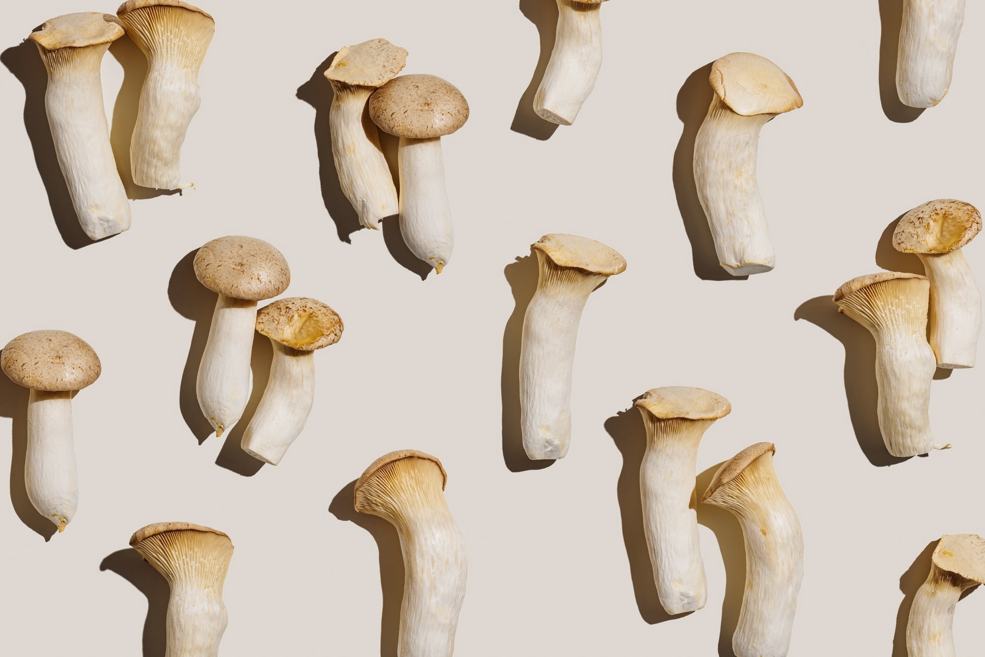 Review: Mushroom consumption impacts on biomarkers of cardiometabolic disease risk and immune function: a narrative review from a whole food perspective. Image Credit: YRABOTA  / Shutterstock