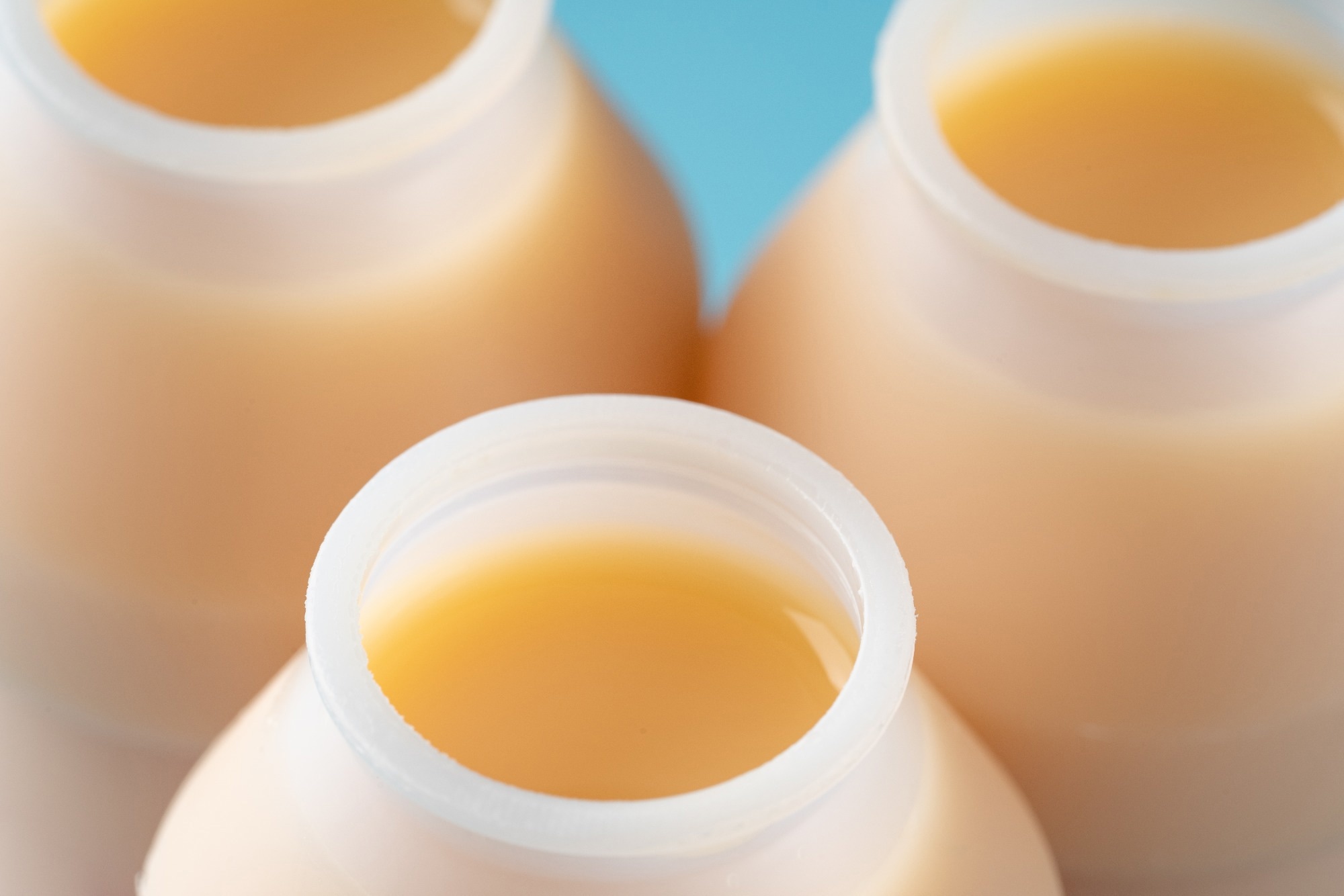 Study: Bioactive aporphines and flavonoids from a fermented beverage target metabolic inflammatory pathways in obesity and type 2 diabetes. Image Credit: Hanasaki / Shutterstock