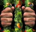 Orthorexia nervosa links strongly to perfectionism and OCD traits, review shows