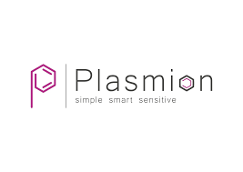 Plasmion