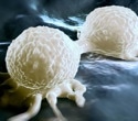 New markers improve detection of aggressive breast cancer cells in the blood