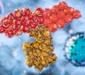 New antibody shows ability to overcome treatment resistance in blood cancers and solid tumors