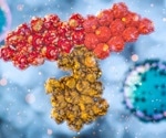 Novel antibody shows promise in overcoming resistance to cancer immunotherapy