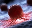 Researchers develop enhanced antibodies to unleash the immune system against cancer