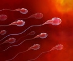 UTSA research could help address genetically based challenges with male fertility