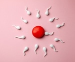 New NIH-funded research to solve the male infertility and spermatogenesis puzzle