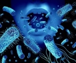 Scientists debunk gut microbiome-autism connection