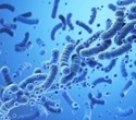 Gut bacteria compound during pregnancy protects offspring from fatty liver disease