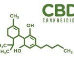 Researchers elucidate the mode of action of cannabinoids in inflammation