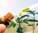 Investigating cannabidiol's role in combating Alzheimer's-related neuroinflammation