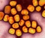 Research highlights rising risk of human-to-human mpox transmission