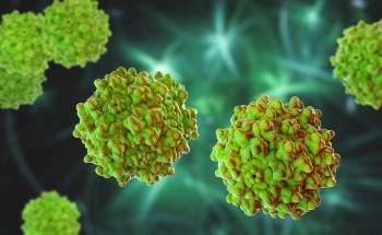 The Emerging Field of Gene Therapy with Adeno-Associated Viruses