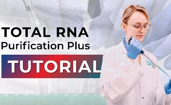 Step-by-step Total RNA Purification Plus