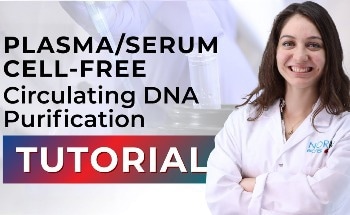 How to Conduct Plasma/Serum Cell-Free Circulating DNA Purification