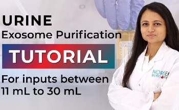 Tutorial for Urine Exosome Purification