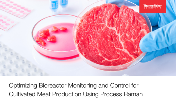 Optimizing Bioreactor Monitoring and Control for Cultivated Meat Production Using Process Raman